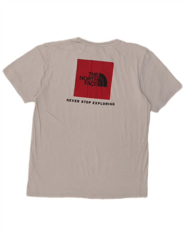 T-shirt grafica da uomo The North Face Top in cotone grigio medio