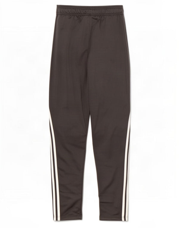 Pantaloni da tuta Adidas Primegreen da ragazzo 13-14 anni in poliestere grigio