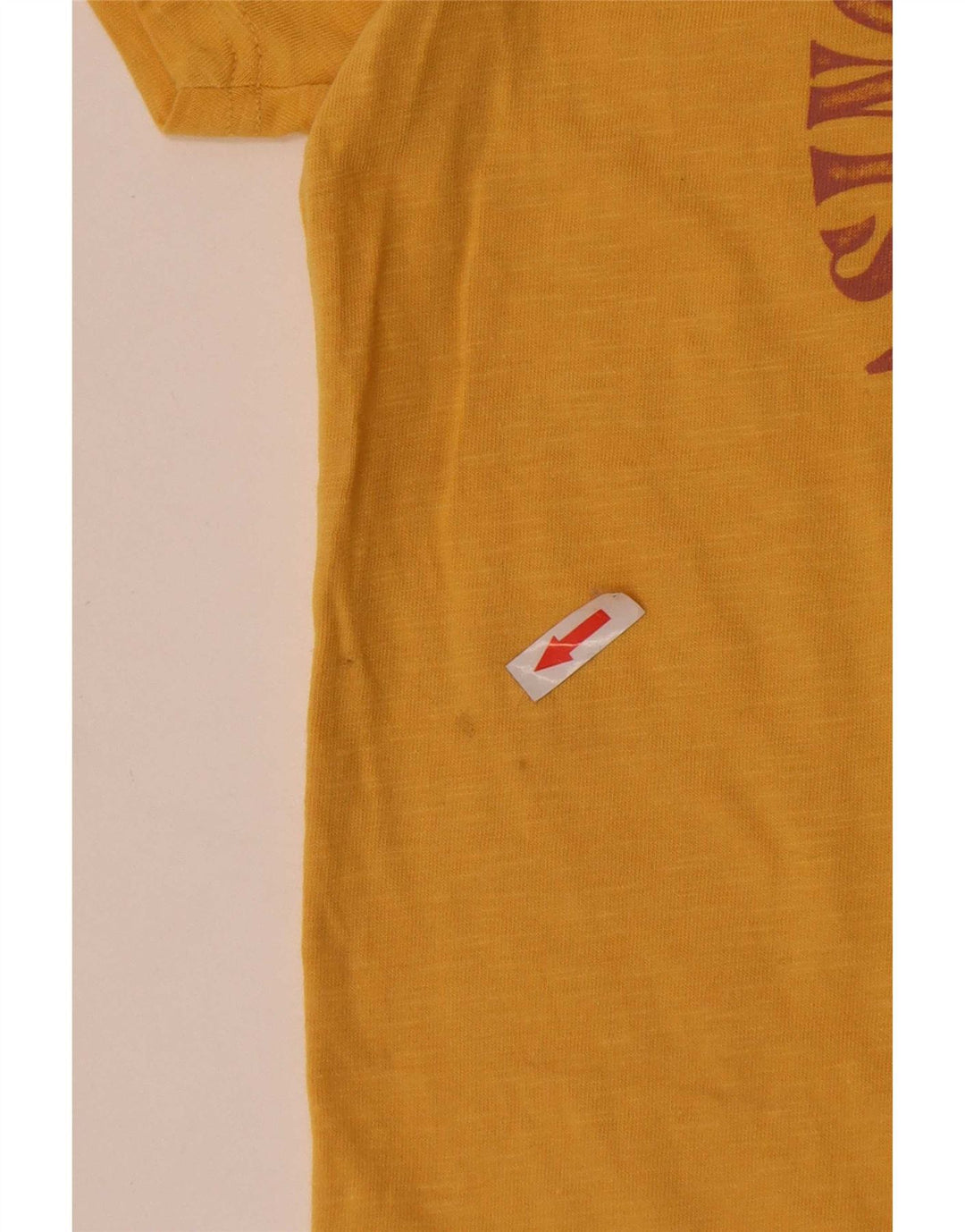 T-shirt grafica da uomo Fat Face Top piccola in cotone giallo