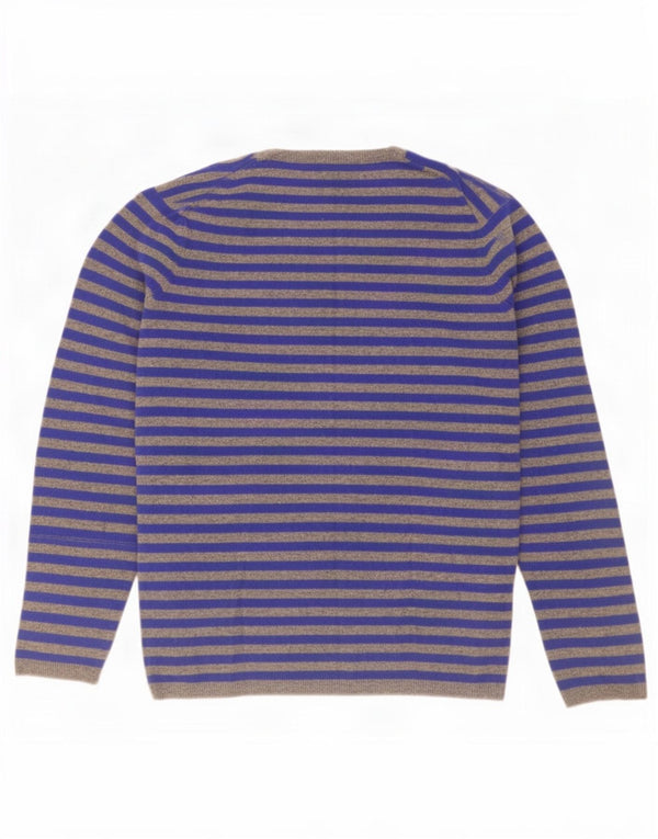 Maglione da uomo Gap con scollo a V, lana d'agnello a righe blu grandi