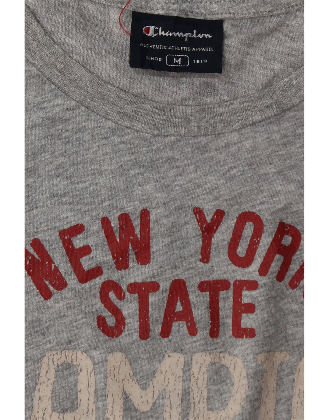 Canotta grafica da uomo Champion, grigio medio chiazzato