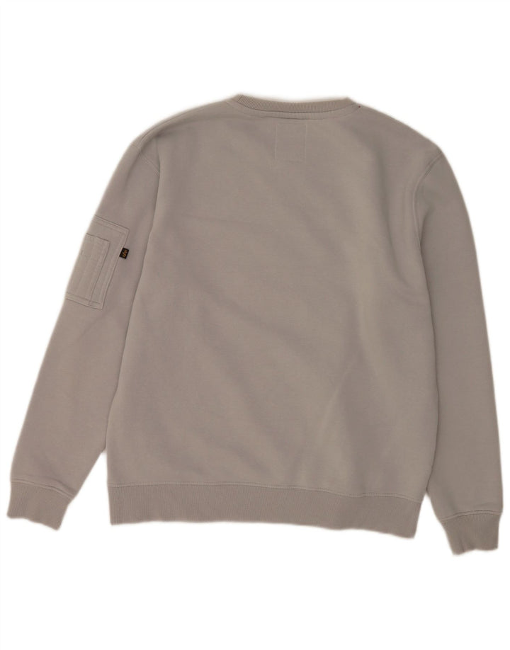 Felpa grafica da uomo Alpha Industries, maglione grande, cotone grigio