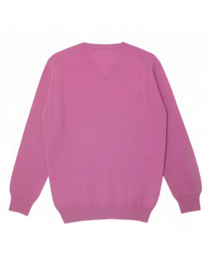 Maglione da uomo con scollo a V Harmont & Blaine 2XL lana viola