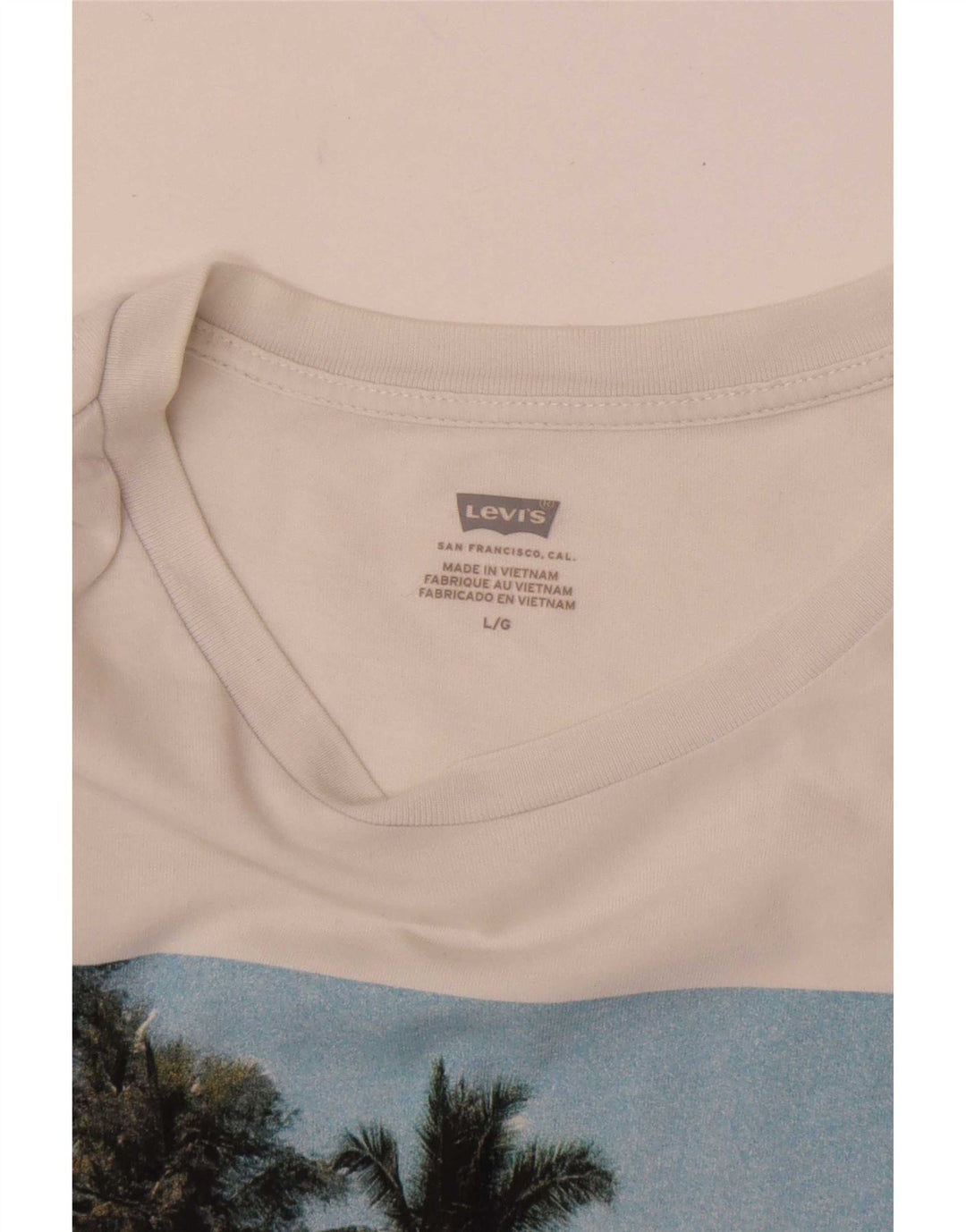 T-shirt grafica da uomo Levi's Top grande bianca