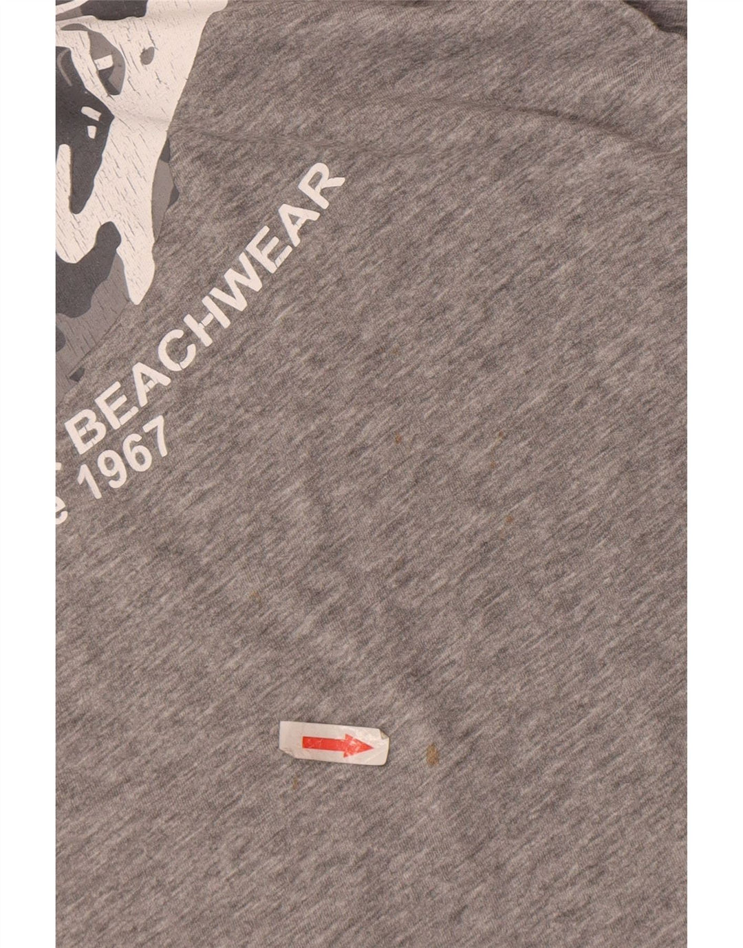 T-shirt grafica da uomo Kappa grande grigia