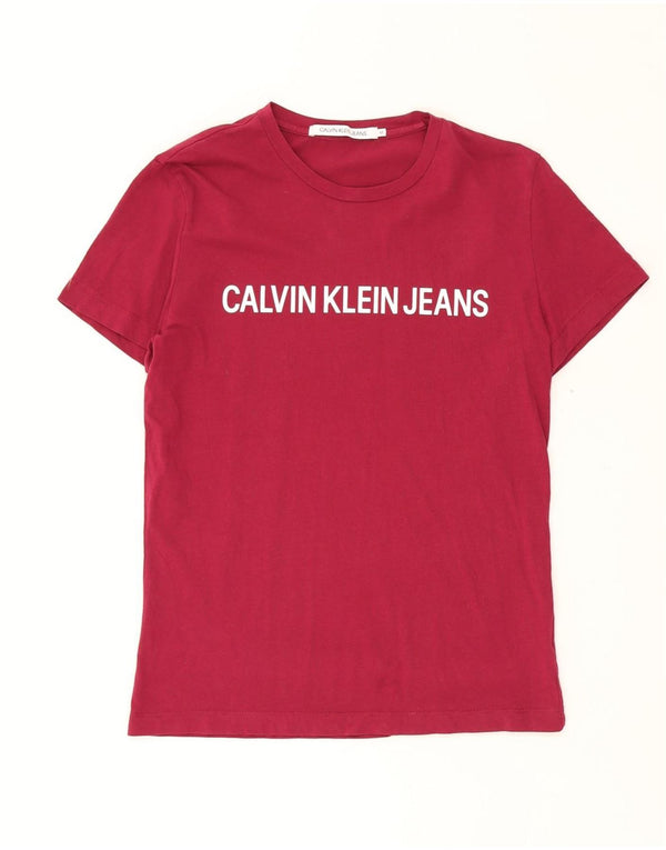 CALVIN KLEIN JEANS T-shirt grafica da uomo Top in cotone bordeaux medio