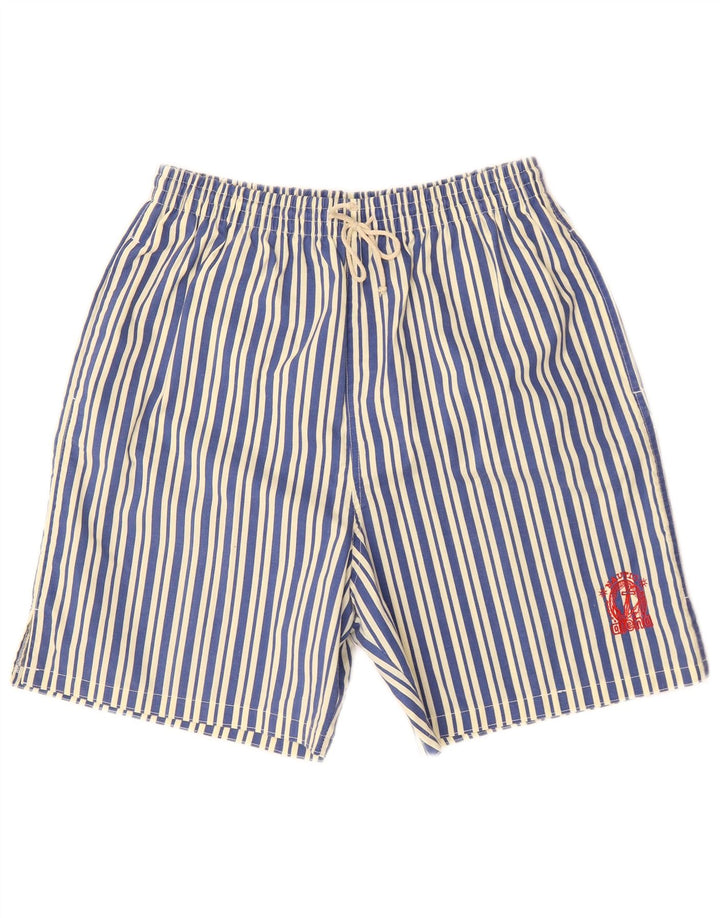 ARENA Mens Swimming Shorts Large Blue Striped Cotton
