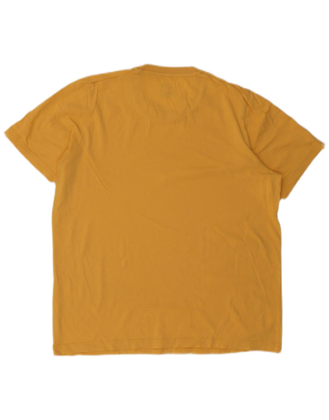 T-shirt grafica ADIDAS Terrex vestibilità regolare da uomo grande gialla