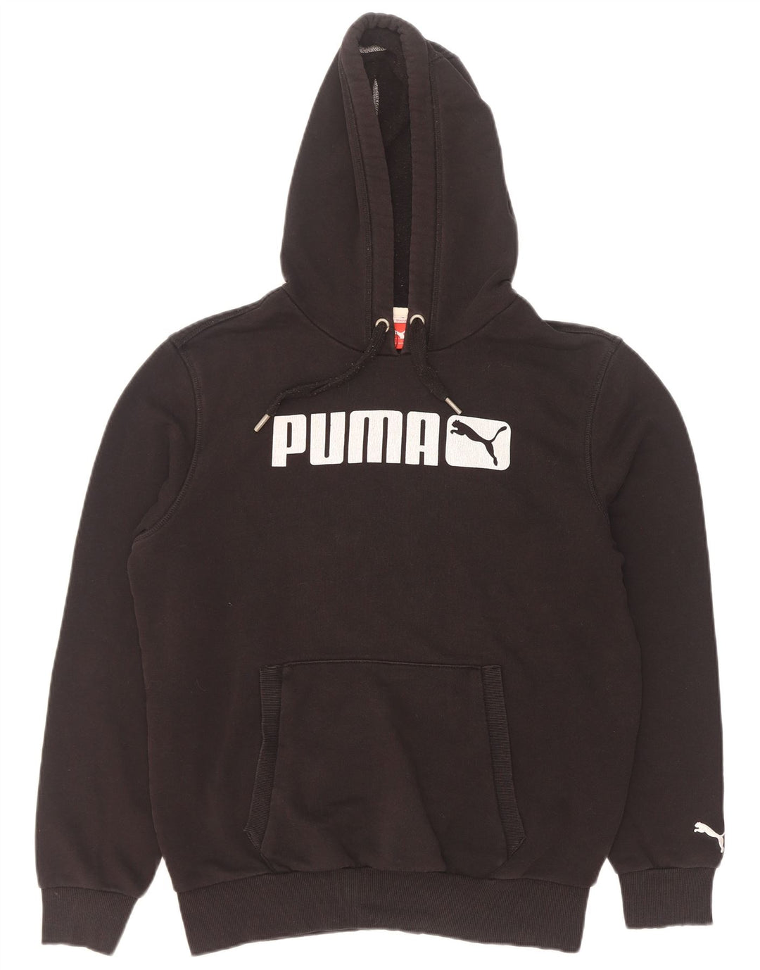 Felpa con cappuccio grafica da uomo Puma Small nera