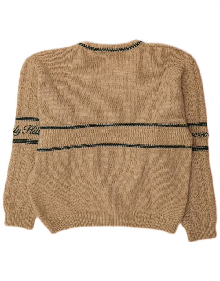 Maglione con scollo a V grafico da uomo Foxhound Lana a righe beige grande