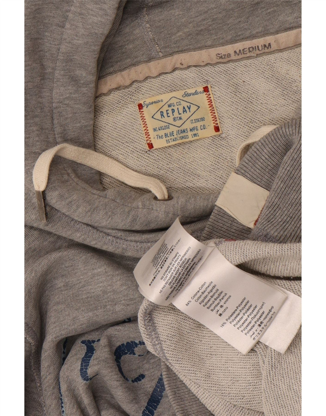 Maglione con cappuccio grafico da uomo Replay in cotone grigio medio