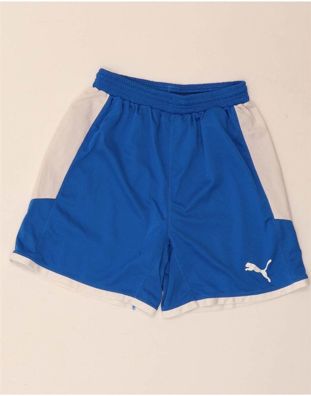 Pantaloncini sportivi da uomo PUMA Small blu in poliestere color block