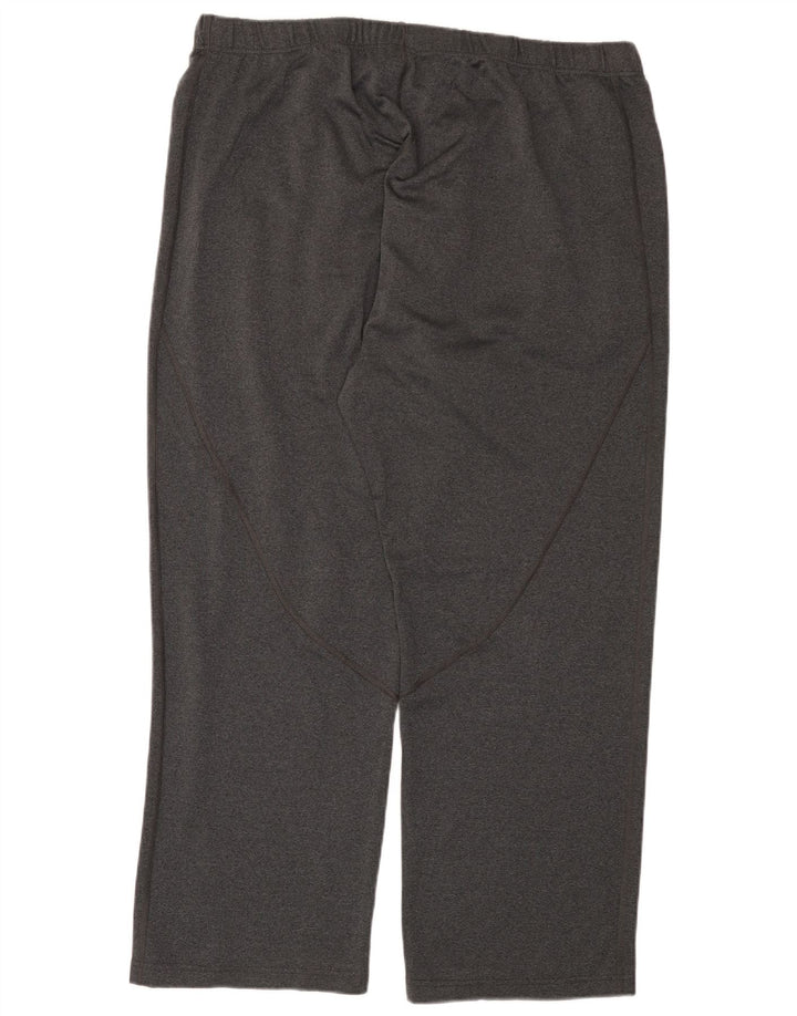 Pantaloni da tuta da uomo THE NORTH FACE 2XL Poliestere grigio