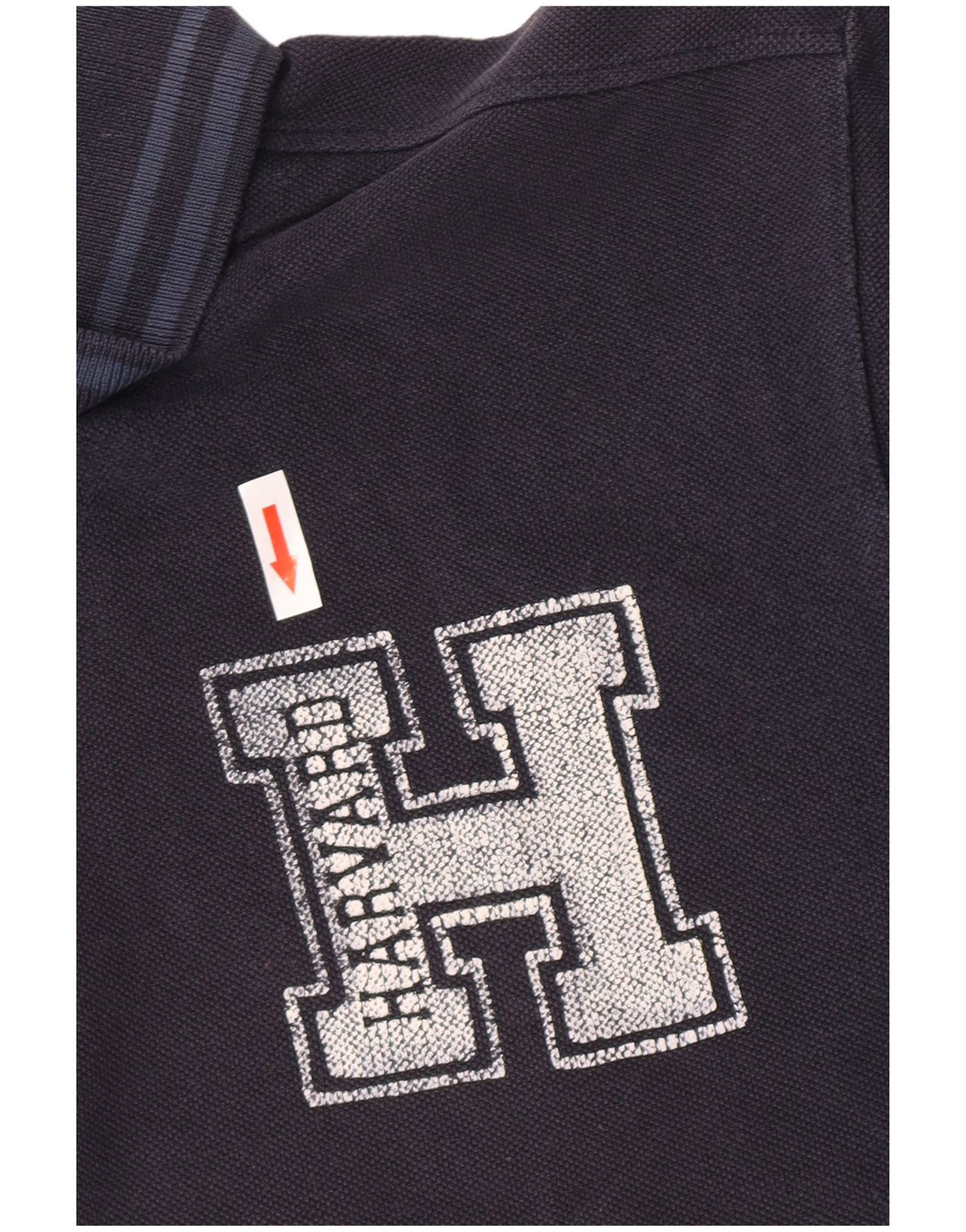 Polo North Sails da uomo con grafica Harvard XL blu navy