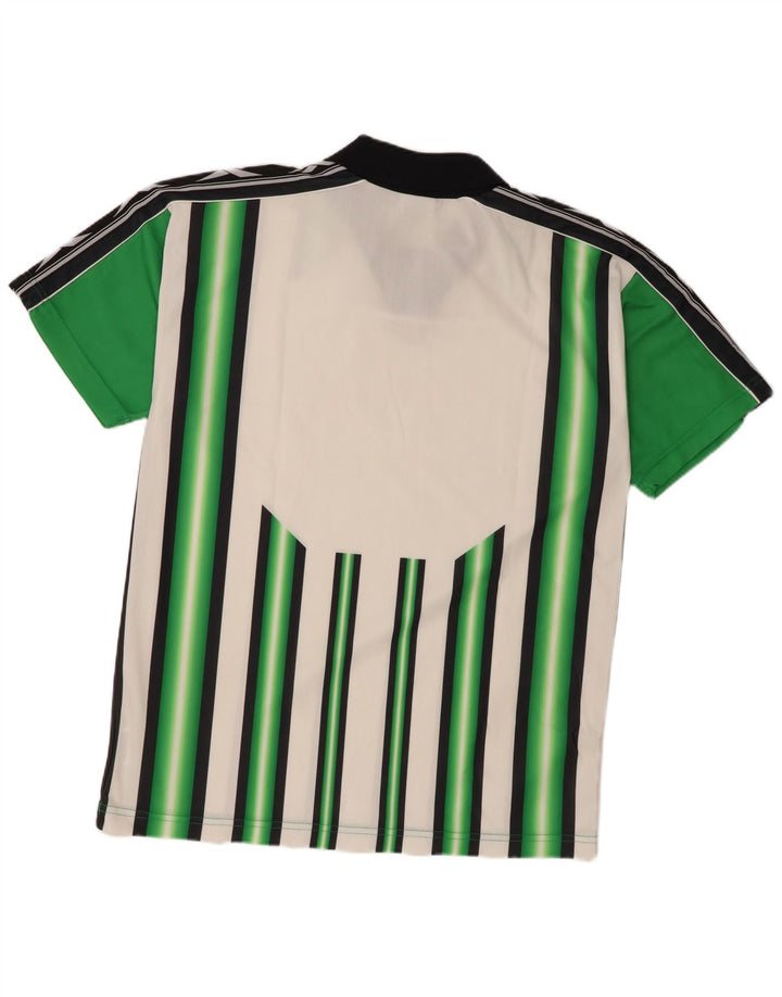 Polo grafica da uomo Reebok, poliestere a righe grandi verdi