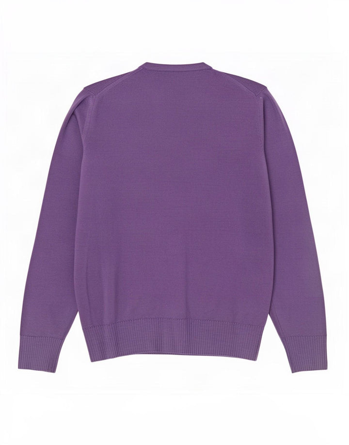 Maglione Zara da uomo con scollo a V, grande, in lana viola