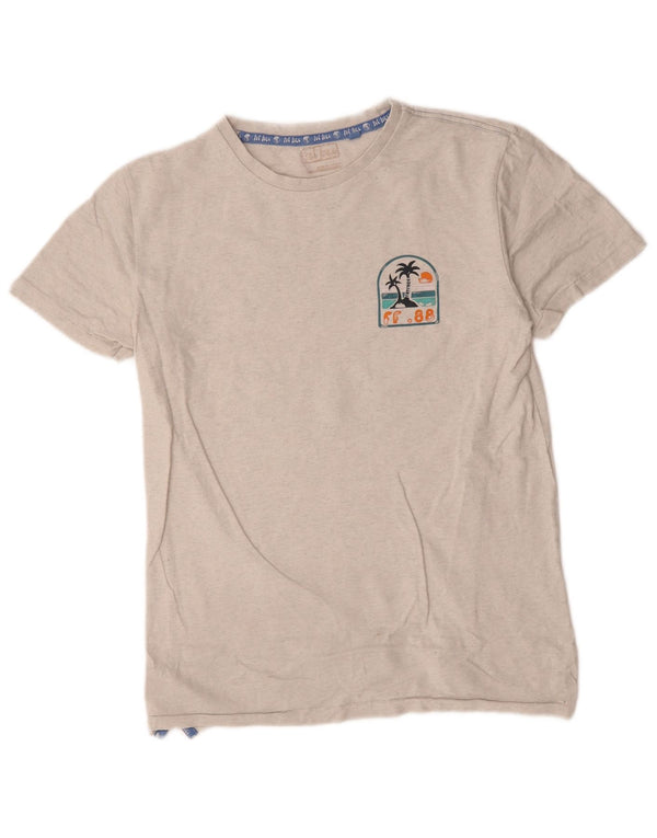 T-shirt grafica da uomo Fat Face Top piccola grigia