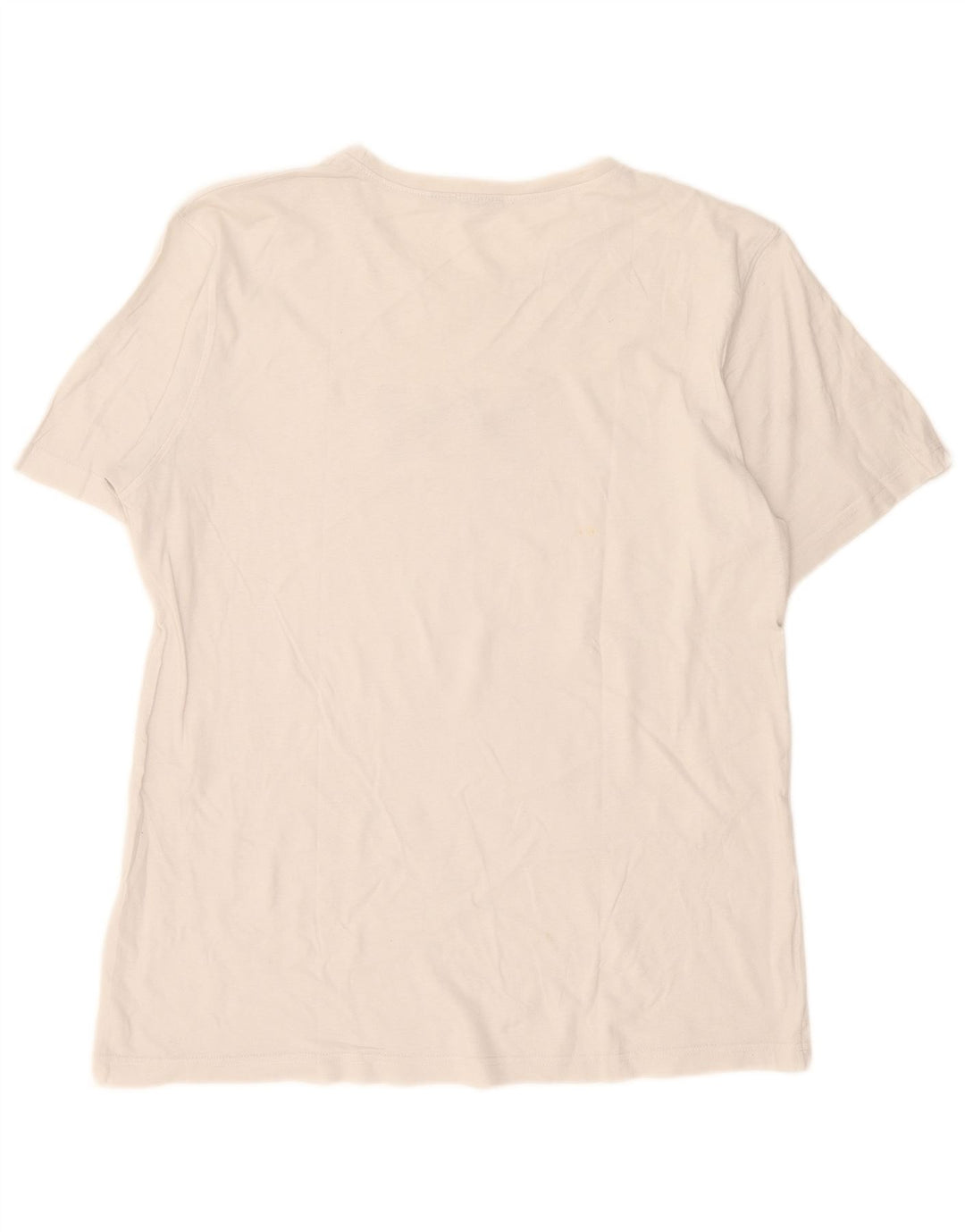 T-shirt grafica da uomo Helly Hansen grande bianca