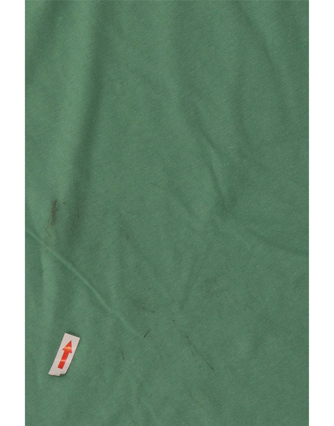 T-shirt grafica da uomo Puma Top in cotone turchese medio