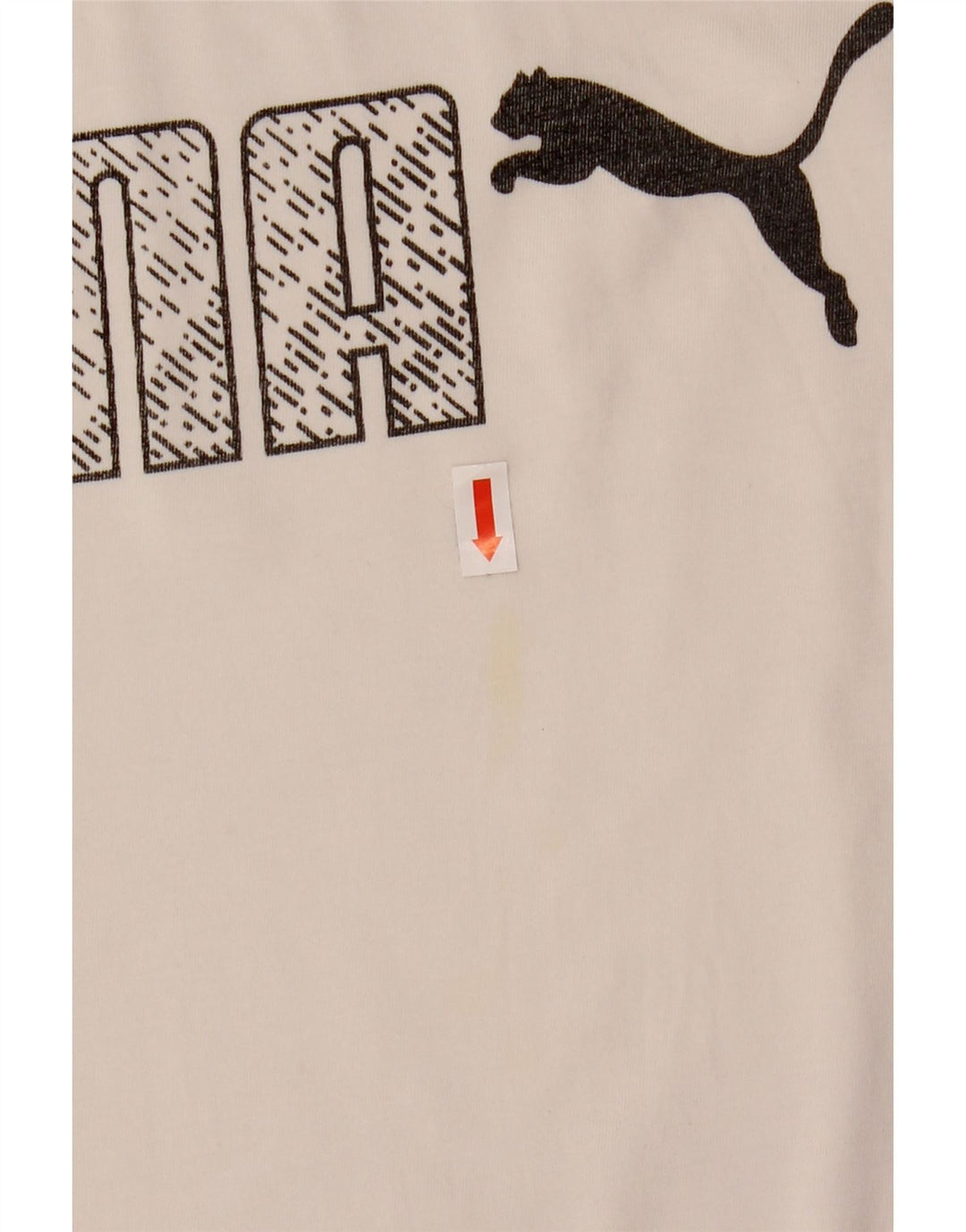 T-shirt grafica da uomo Puma Top bianca media