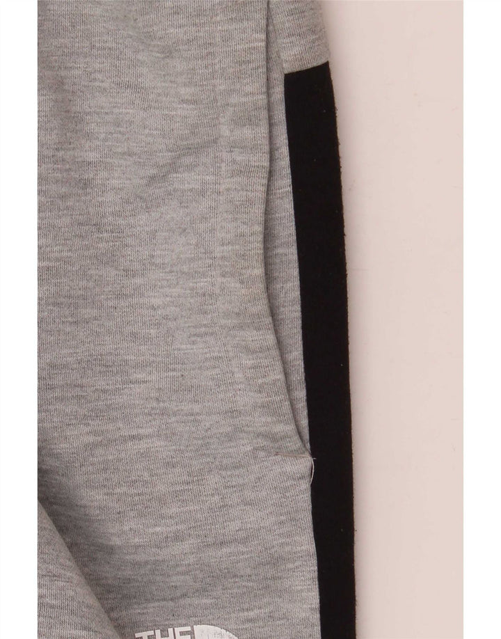 The North Face Pantaloni da tuta da uomo Joggers Large Grigio Colourblock