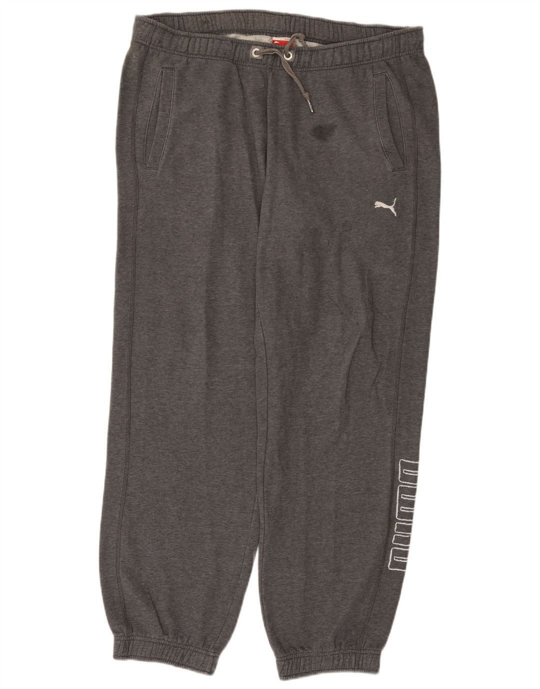 Pantaloni da tuta grafica da uomo Puma Joggers Large Grigi