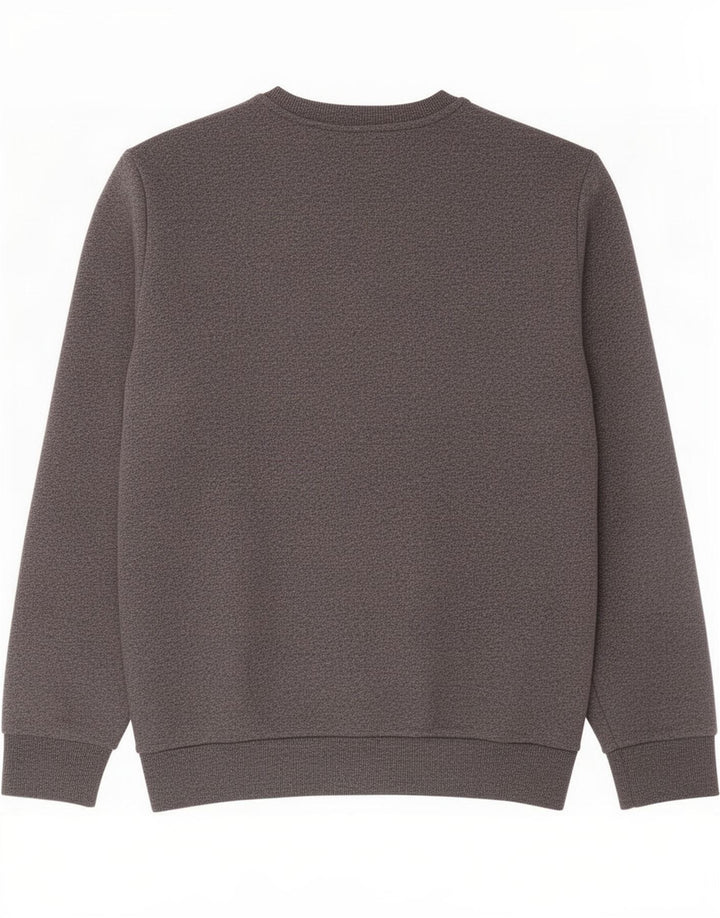 Felpa grafica da uomo Superdry Jumper XL in cotone grigio