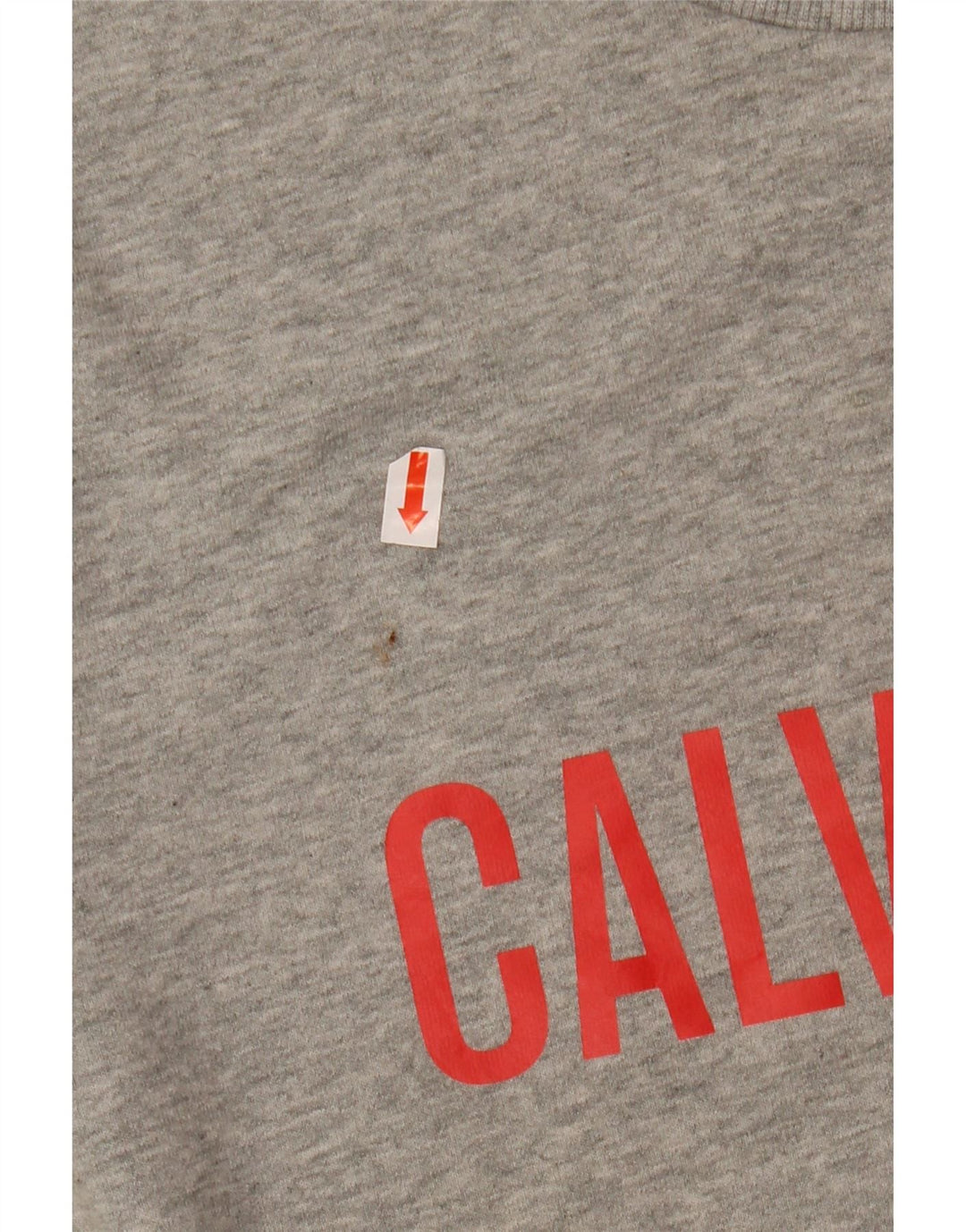 CALVIN KLEIN Felpa con grafica da uomo Maglione grigio medio