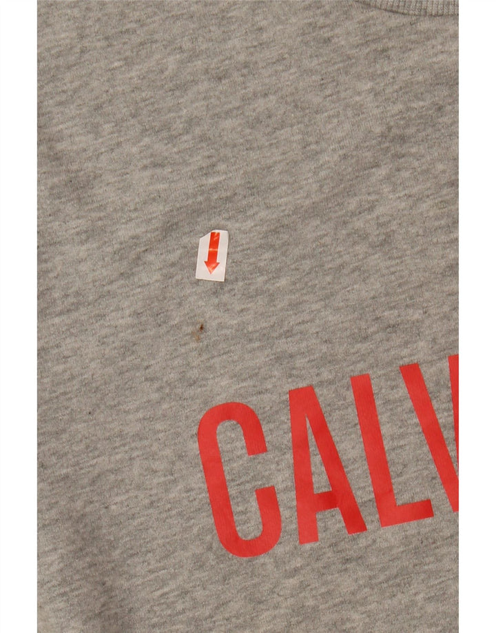 CALVIN KLEIN Felpa con grafica da uomo Maglione grigio medio