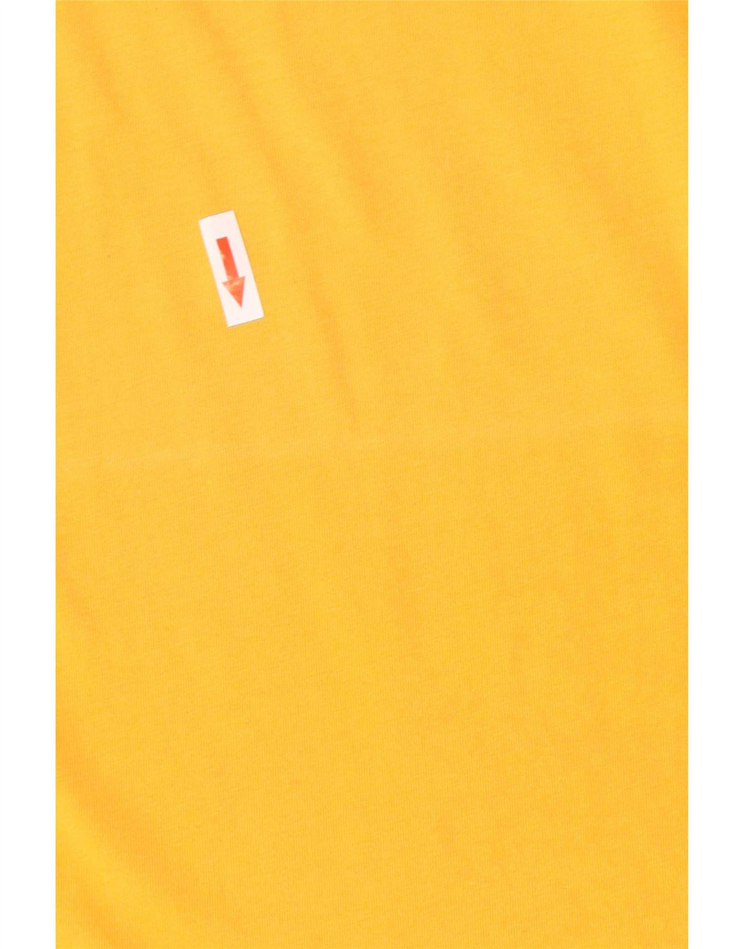 T-shirt grafica da uomo The North Face Top in cotone giallo medio