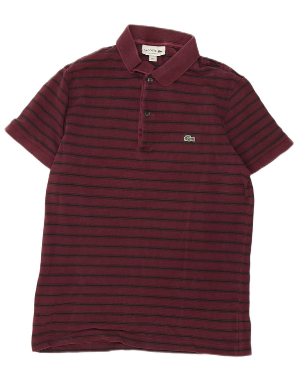 Polo da uomo Lacoste taglia 4 cotone a righe bordeaux medio