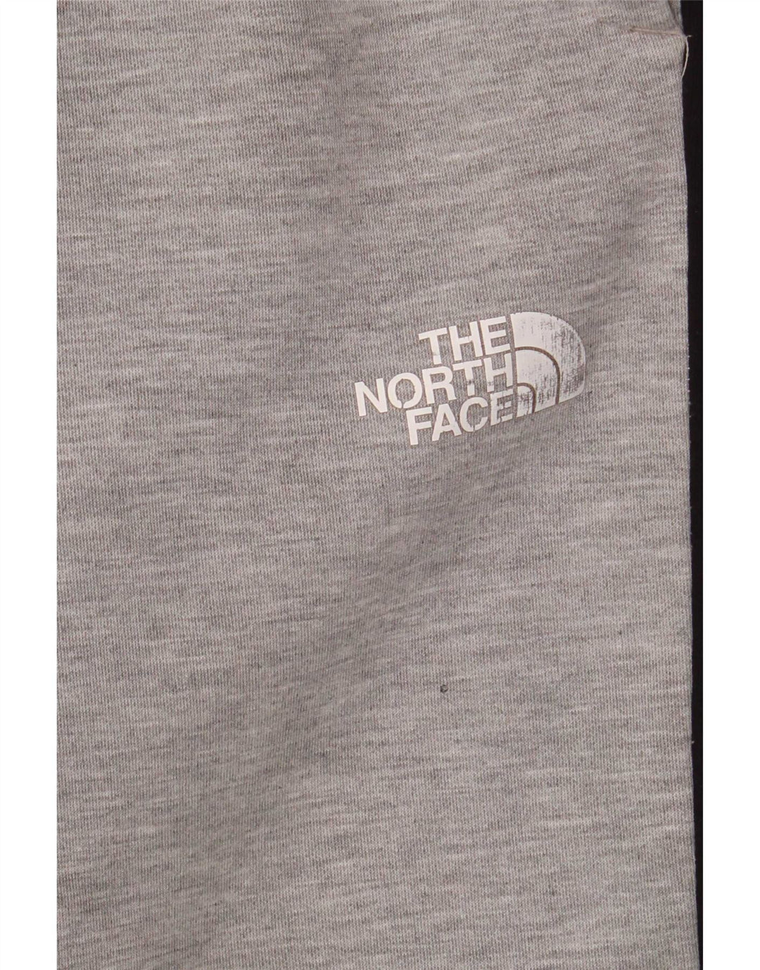 The North Face Pantaloni da tuta da uomo Joggers Large Grigio Colourblock