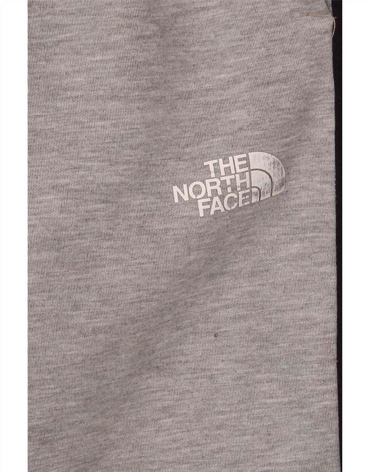 The North Face Pantaloni da tuta da uomo Joggers Large Grigio Colourblock