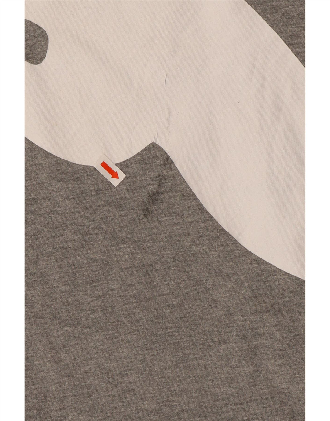 Maglietta grafica da uomo PUMA Top 2XL Grigia