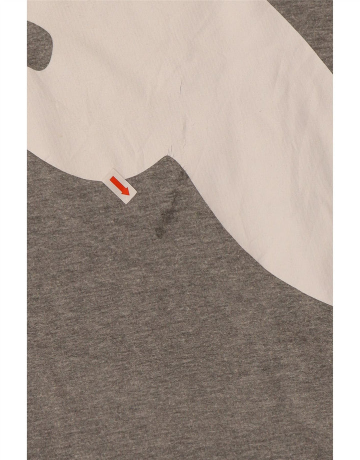 Maglietta grafica da uomo PUMA Top 2XL Grigia