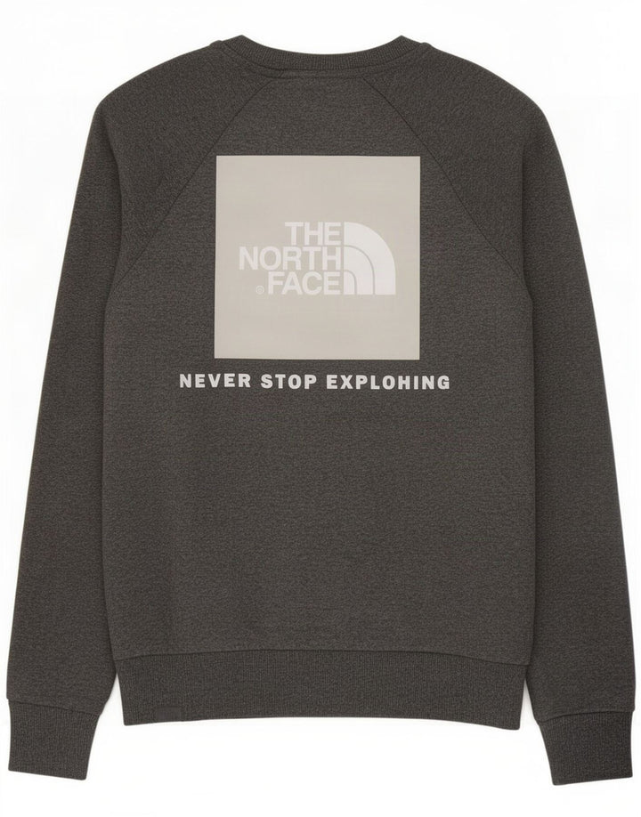 Felpa grafica da uomo The North Face Maglione piccolo cotone chiazzato grigio