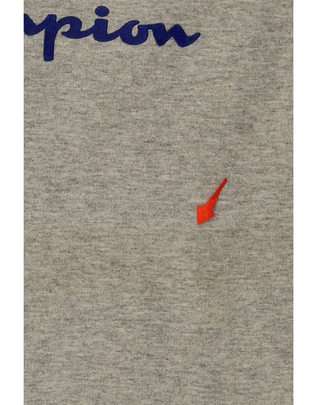 CHAMPION Womens Graphic Sweatshirt Jumper UK 10 Small Grey Polyester Vintage Champion and Second-Hand Champion from Messina Hembry 