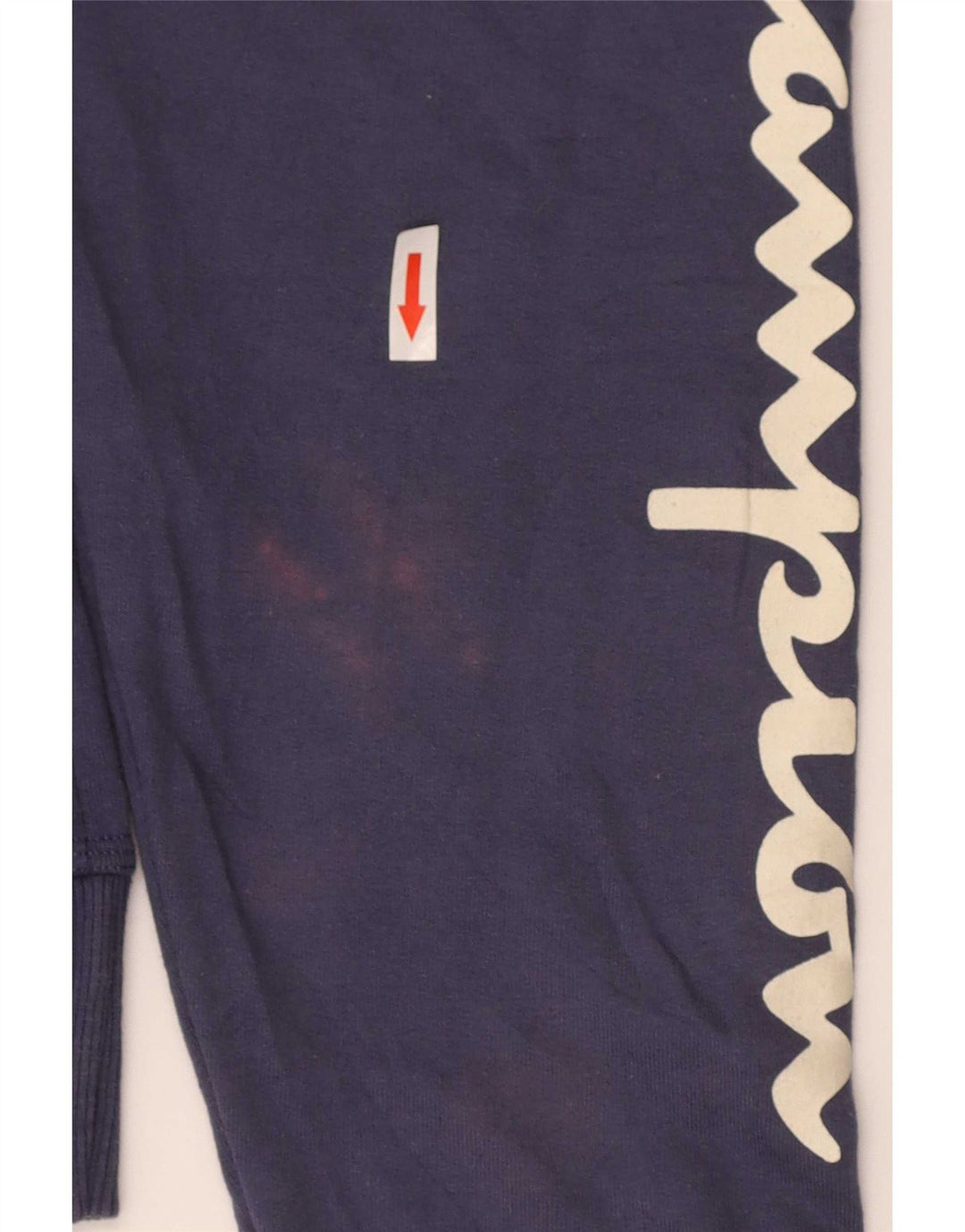 Felpa con cappuccio Champion da uomo con vestibilità regolare grafica, cotone medio blu navy