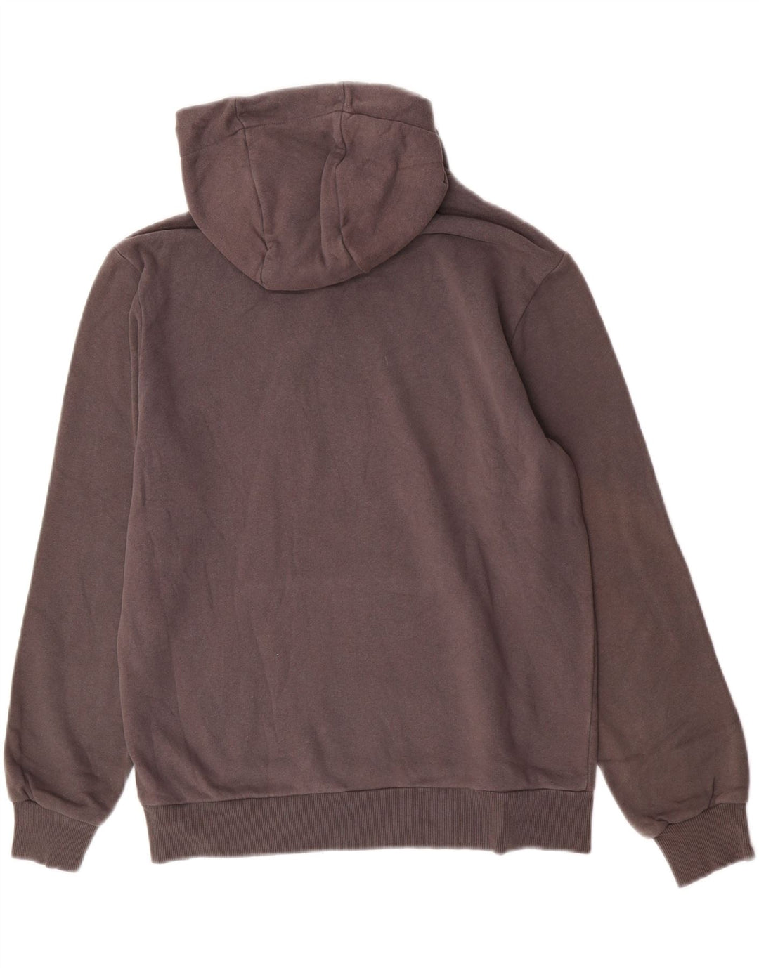 Felpa con cappuccio grafica da uomo Refrigiwear in cotone grigio medio