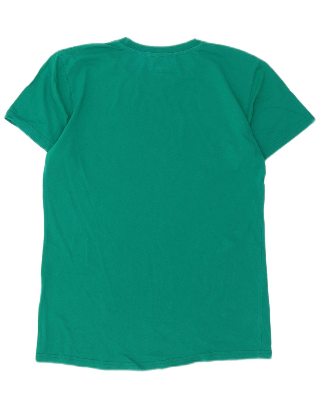 T-shirt grafica da uomo Asics Top piccola verde