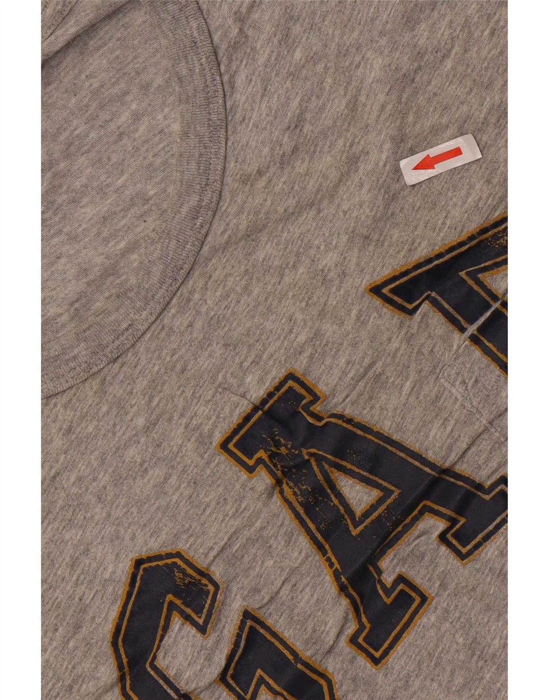 Gap T-shirt grafica da uomo grande grigia