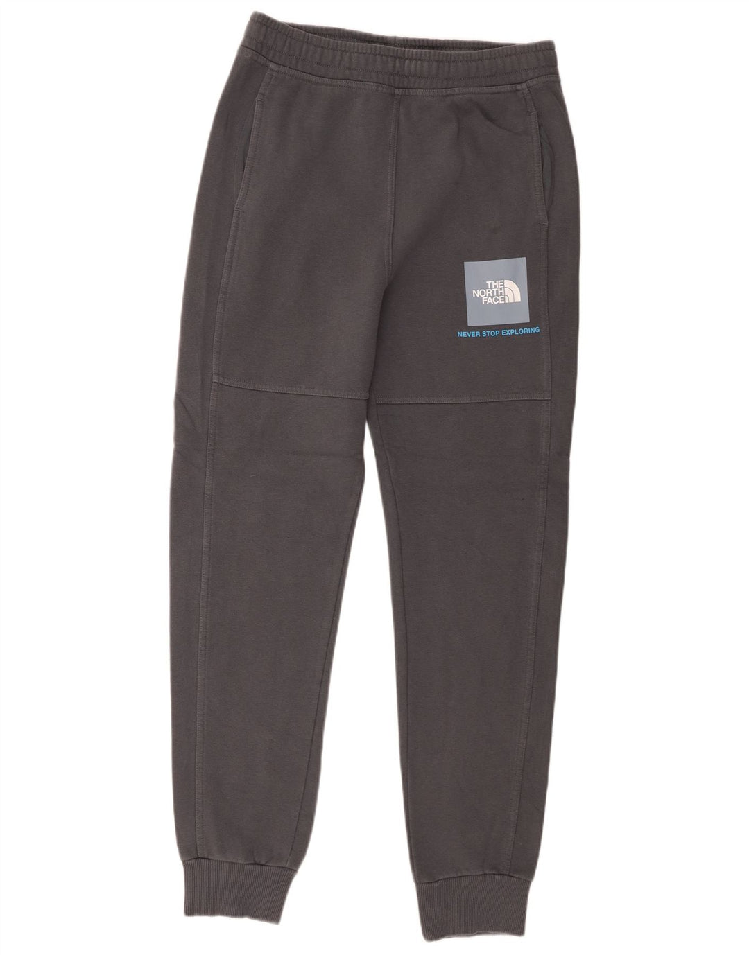 Pantaloni da tuta da uomo The North Face Joggers piccoli in cotone grigio