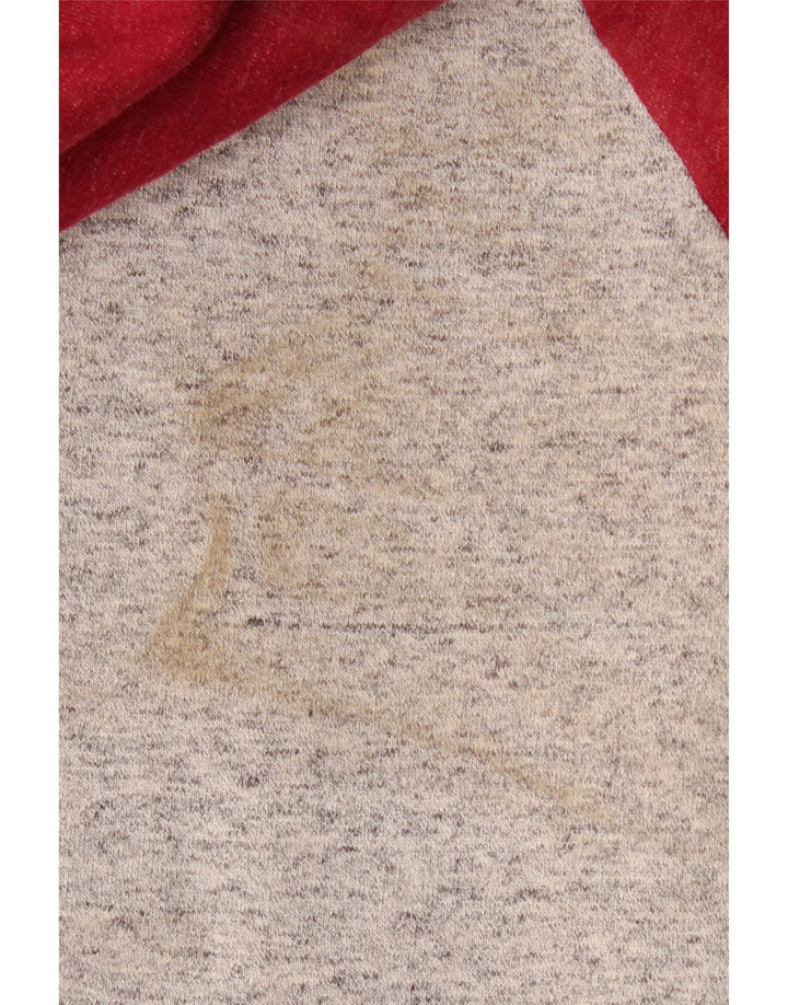 Felpa con cappuccio grafica da uomo Superdry Small in cotone color block grigio