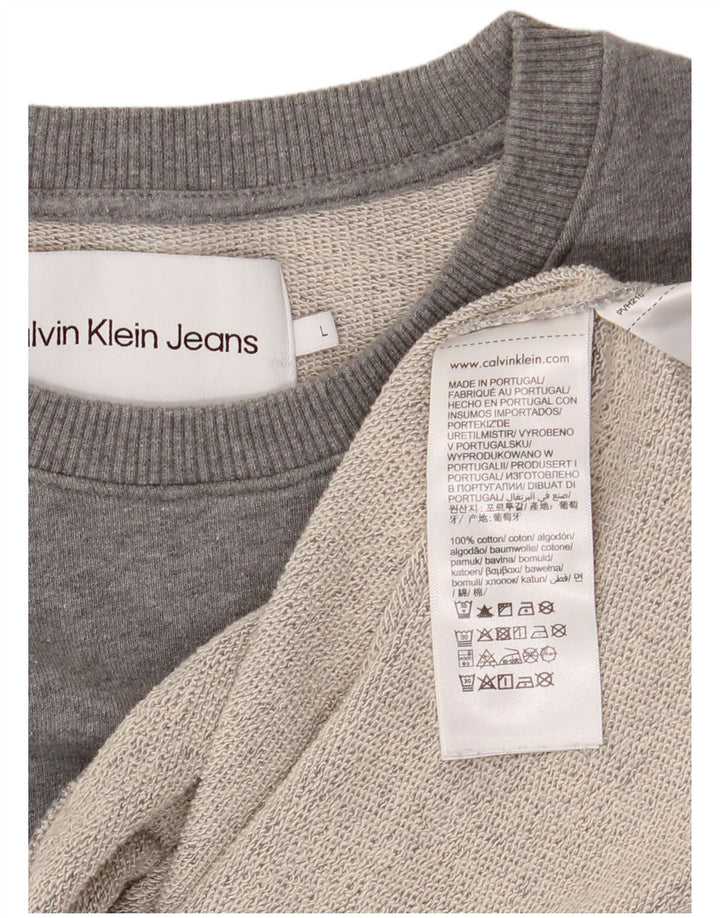 CALVIN KLEIN JEANS Felpa con grafica da uomo Maglione grande in cotone grigio