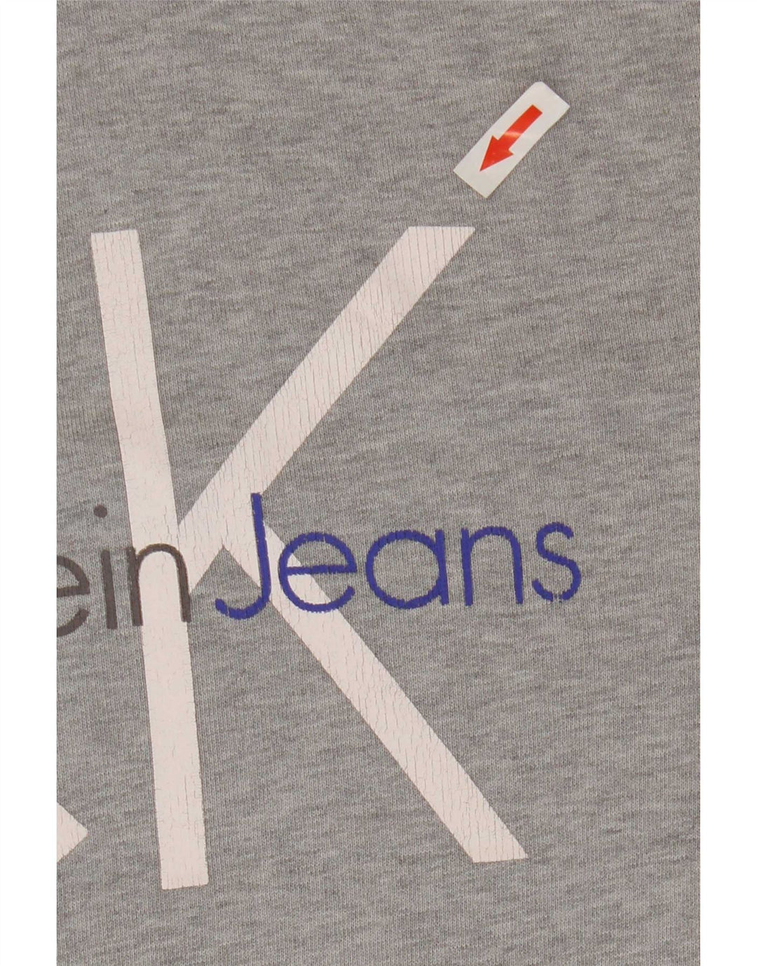 Maglione con cappuccio grafico da uomo Calvin Klein Jeans grigio medio
