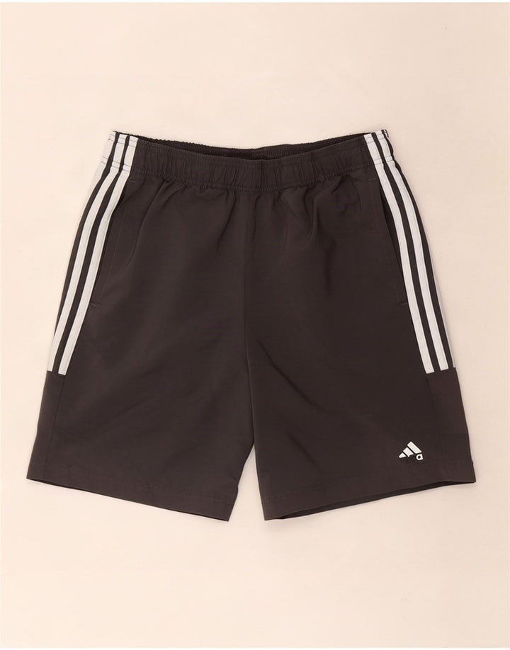 Adidas Pantaloncini sportivi da uomo grigio medio Poliestere