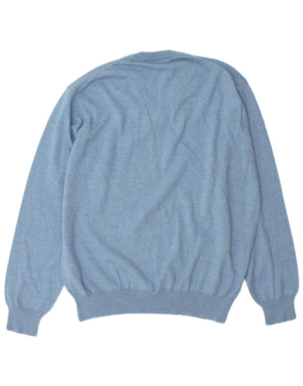 Maglione da uomo con scollo a V Navigare, grande lana merino blu