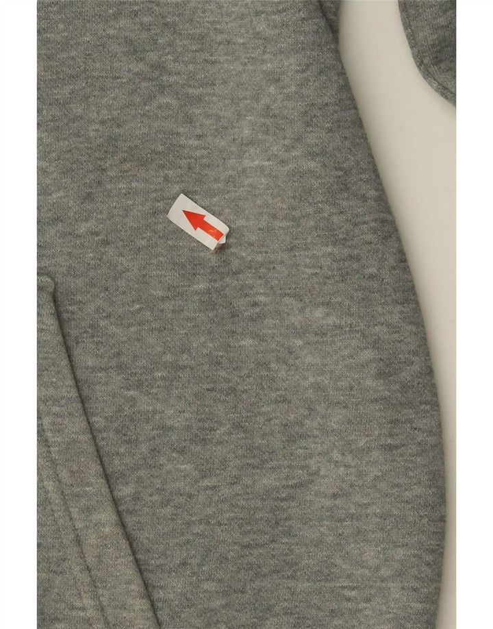 Felpa con cappuccio grafica da uomo Puma in cotone grigio medio
