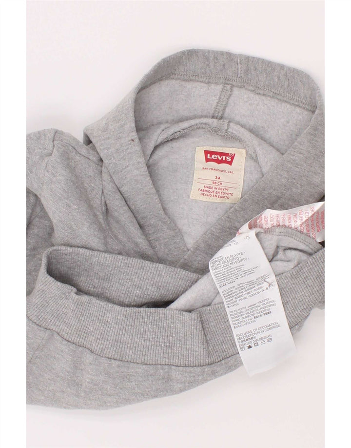 Maglione con cappuccio grafico Levi's per ragazzi 2-3 anni in cotone chiazzato grigio