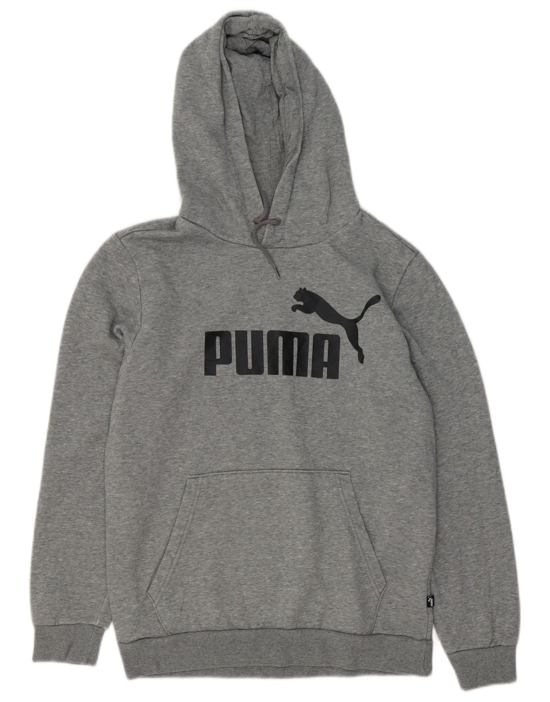 Felpa con cappuccio grafica PUMA da uomo piccola in cotone grigio